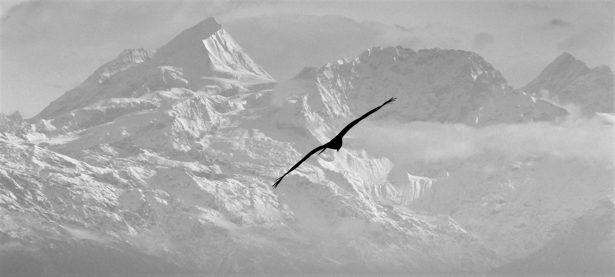 Photos from our Nepal Cycling Holiday